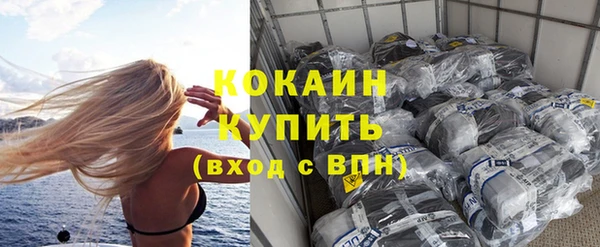 шишки Сосновка