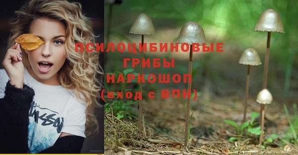 марки nbome Бородино