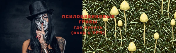 спайс Бугульма